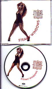 Tina Turner - Steamy Windows (Pic Disc)